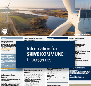 Skive kommune annonce